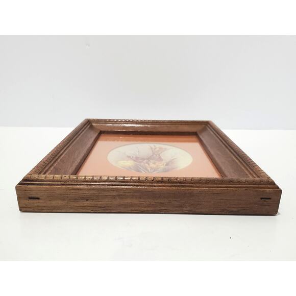 Vtg Kay Lamb Shannon Wood Framed Butterfly Print Entomology Art 9" x 7" - Picture 4 of 11